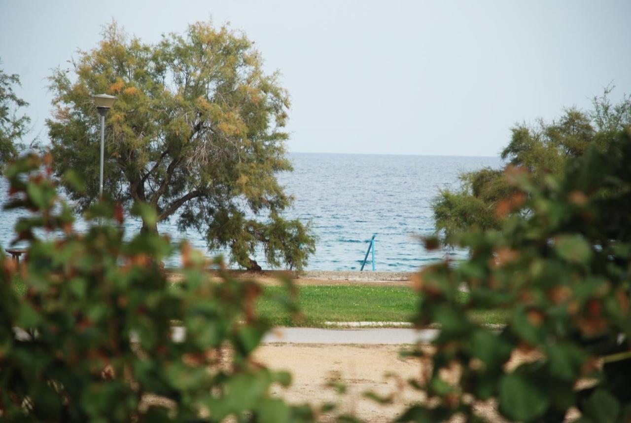 לריסוס Villa Maria מראה חיצוני תמונה
